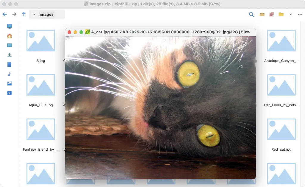 523261201_37f56c89_9630_4e1c_afcb_98289e1ac987