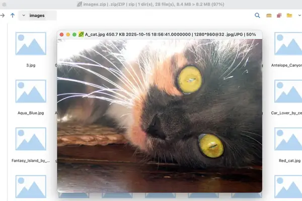 PeaZip 10.8.0 released