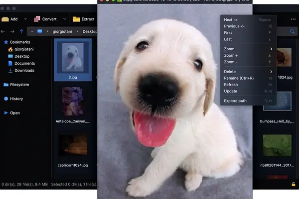 PeaZip 10.7.0 released